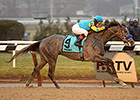El Kabeir Much the Best in Jerome Stakes El Kabeir Much the Best in Jerome Stakes