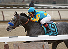 Withers Favorite El Kabeir Breezes at Belmont Withers Favorite El Kabeir Breezes at Belmont