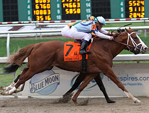 El Padrino On Target for Florida Derby El Padrino On Target for Florida Derby
