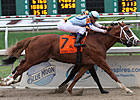 El Padrino Was One Cool Yearling Dude El Padrino Was One Cool Yearling Dude