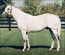 El Prado's Fee Jumps to $100,000 El Prado's Fee Jumps to $100,000
