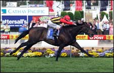 El Segundo Thunders to Cox Plate Victory El Segundo Thunders to Cox Plate Victory