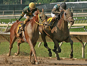 Eldaafer Gets the Nod in Greenwood Cup Photo Eldaafer Gets the Nod in Greenwood Cup Photo