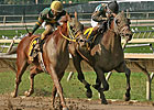 Eldaafer Gets the Nod in Greenwood Cup Photo Eldaafer Gets the Nod in Greenwood Cup Photo