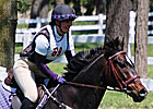 NY Panel Issues Plan for Retired Racehorses NY Panel Issues Plan for Retired Racehorses