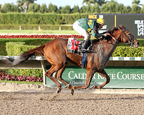 Electrify Sizzles in Fred Hooper Electrify Sizzles in Fred Hooper