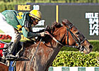 Electrify Sizzles in Fred Hooper