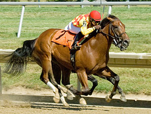Elite Alex Blazes 6 Furlongs With Blinkers Elite Alex Blazes 6 Furlongs With Blinkers