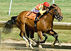 Weekend Stakes Analysis: New Faces to Watch Weekend Stakes Analysis: New Faces to Watch