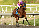 Speed Makes Ellafitz Dangerous in Santa Maria