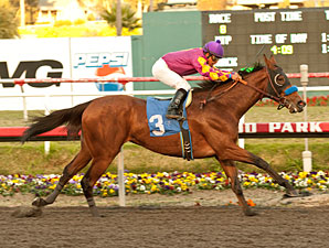 Ellafitz Leaves Her Bayakoa Rivals Behind Ellafitz Leaves Her Bayakoa Rivals Behind