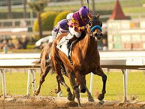 Ellafitz Keeps Fighting to Win Santa Maria Ellafitz Keeps Fighting to Win Santa Maria