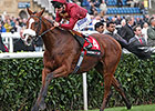 Elm Park Cruises to Easy Racing Post Tally Elm Park Cruises to Easy Racing Post Tally