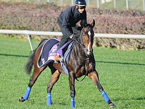 Elusive Kate Sold to Terry Yoshida Elusive Kate Sold to Terry Yoshida