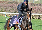 Elusive Kate Sold to Terry Yoshida Elusive Kate Sold to Terry Yoshida