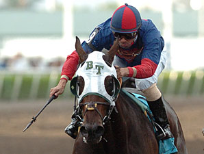 Elysium Fields Readies for Florida Derby Elysium Fields Readies for Florida Derby