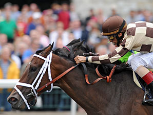 Keeneland January Sale Has Fares Dispersal Keeneland January Sale Has Fares Dispersal