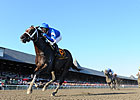 McLaughlin Makes Plans for Godolphin Runners 