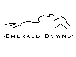 Emerald Downs Has $2 Million in Stakes Emerald Downs Has $2 Million in Stakes