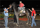 Jockey Flores Rides 2,000th Winner Jockey Flores Rides 2,000th Winner