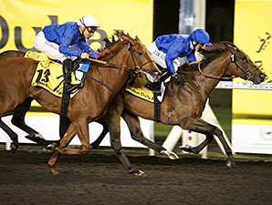 Godolphin Pair Top U.A.E. Guineas Field Godolphin Pair Top U.A.E. Guineas Field
