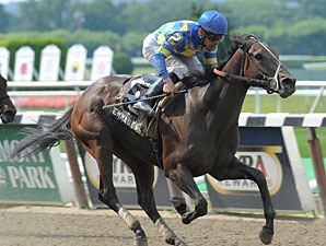 Emma's Encore is Hurricane Bertie Highweight