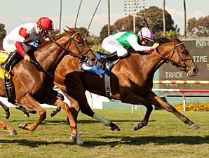 Emollient Takes to Turf for American Oaks Win Emollient Takes to Turf for American Oaks Win