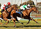 Emollient Takes to Turf for American Oaks Win Emollient Takes to Turf for American Oaks Win