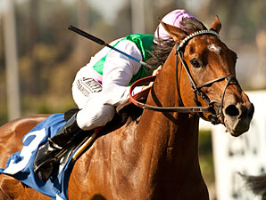 Emollient on Target for Grade I Garden City Emollient on Target for Grade I Garden City