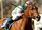 Emollient Returns to Santa Anita for Gamely Emollient Returns to Santa Anita for Gamely
