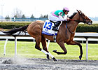 Emollient Takes on Elders in Spinster Stakes Emollient Takes on Elders in Spinster Stakes