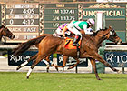 Emollient Edges Parranda in Rodeo Drive Emollient Edges Parranda in Rodeo Drive