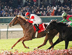 Emotional Kitten Claws to Mrs. Revere Win