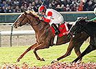 Emotional Kitten Claws to Mrs. Revere Win Emotional Kitten Claws to Mrs. Revere Win