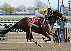 Empire Dreams Stretches Out in New York Derby Empire Dreams Stretches Out in New York Derby