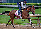 Pair of Oaks Fillies Work at Churchill Downs Pair of Oaks Fillies Work at Churchill Downs