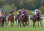 Emulous Flies to Victory in Matron Stakes Emulous Flies to Victory in Matron Stakes