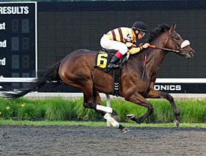 Wise Dan Half Sister Wins Presque Isle Debut Wise Dan Half Sister Wins Presque Isle Debut