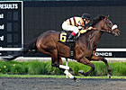 Wise Dan Half Sister Wins Presque Isle Debut Wise Dan Half Sister Wins Presque Isle Debut