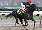 Claimer Endless Circle Wins Fall Highweight Claimer Endless Circle Wins Fall Highweight
