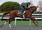 Endorsement Continues Comeback in Texas Mile Endorsement Continues Comeback in Texas Mile
