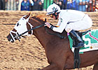 Endorsement Earns Derby Nod with Sunland Win Endorsement Earns Derby Nod with Sunland Win