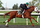 Endorsement Works Five Furlongs at Keeneland