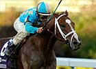 English Channel to Stand for $25,000