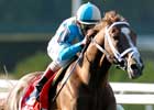 English Channel Wins Hirsch Classic in Spectacular Fashion