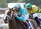 Turf Winner English Channel Retired to Stud for 2008 Turf Winner English Channel Retired to Stud for 2008