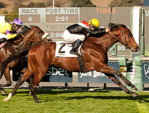 Cal Derby Pits Enterprising, Exit Stage Left Cal Derby Pits Enterprising, Exit Stage Left