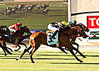 Enterprising Wins Oceanside in Del Mar Opener Enterprising Wins Oceanside in Del Mar Opener