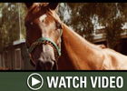 HRTV: Inside Information - 12/3/07