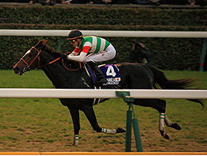 Epiphaneia Proves Easy Winner of Japan Cup